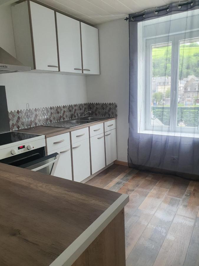 Appartement Bienvenue chez les ch'oups le cocoon à La Bourboule Extérieur photo